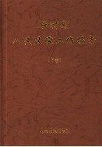 新时期人民法院工作指南 下