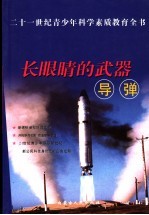 长眼睛的武器 导弹