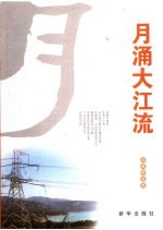 月涌大江流 深度报道集