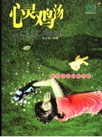 心灵鸡汤 吻银版炫亮珍藏本