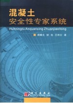 混凝土安全性专家系统
