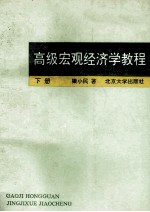 高级宏观经济学教程 下