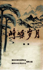 峥嵘岁月 革命回忆录