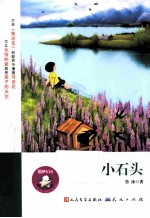 小石头