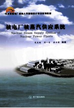 压水堆核电厂操纵人员基础理论培训系列教材 核电厂核蒸汽供应系统