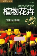 植物花卉
