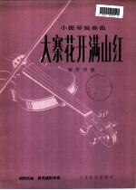 大寨花开满山红 小提琴独奏曲·钢琴伴奏