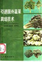 引进国外蔬菜栽培技术