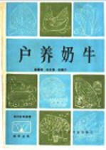户养奶牛