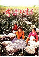 棉乡盛开大寨花 河南省新乡县开展农业学大寨群众运动的经验