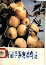 乔砧苹果密植栽培