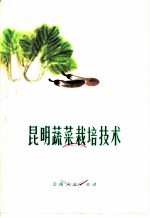 昆明蔬菜栽培技术