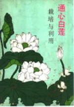通心白莲栽培与利用