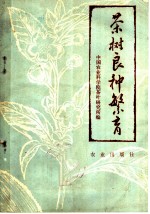 茶树良种繁育
