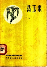 药玉米