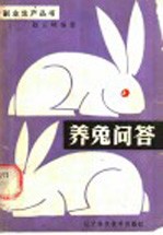 养兔问答