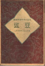 豇豆