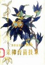 热带亚热带主要树种采种育苗技术