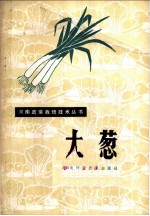 大葱
