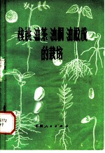 核桃 油茶 油桐 油橄榄的栽培