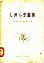 甘肃小麦栽培