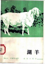湖羊