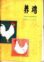 养鸡