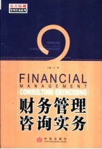 财务管理咨询实务