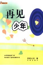 再见少年 青春记忆