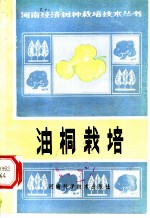 油桐栽培