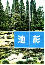 池杉