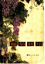 葡萄栽培