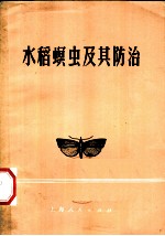 水稻螟虫及其防治