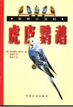 虎皮鹦鹉