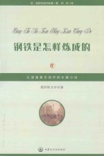 俄罗斯文学名著 钢铁是怎样炼成的 下