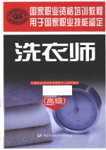 洗衣师 高级