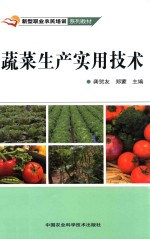 蔬菜生产实用技术 新型职业农民培训系列教材
