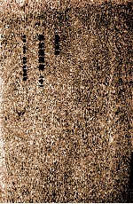 陈寅恪集 柳如是别传 2