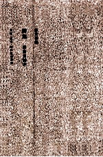 陈寅恪集 诗集