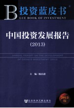 中国投资发展报告 2013
