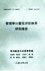 管理审计量化评价体系研究报告