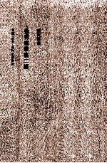 陈寅恪集 金明馆丛稿2编