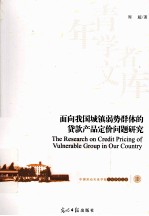 面向我国城镇弱势群体的贷款产品定价问题研究