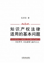 知识产权法律适用的基本问题 司法哲学、司法政策与裁判方法