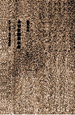 陈寅恪集 金明馆丛稿初编