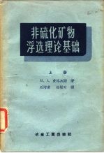 非硫化矿物浮选理论基础 上