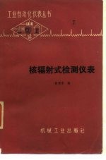 核辐射式检测仪表
