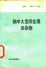钢中大型非金属夹杂物