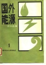 国外能源资料选编 1