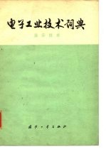 电子工业技术词典 显示技术